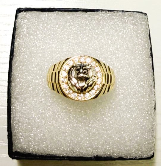 Anillo de Hombre en Oro 10K — Modelo 02